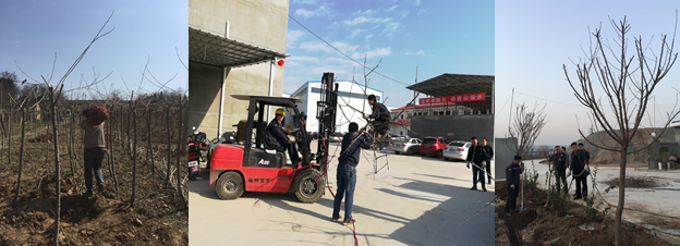 寶雞捷銳“迎春風，綠家園”植樹節(jié)(圖2)